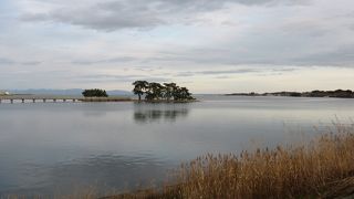 白鳥の飛来地で有名
