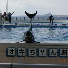 普通は有料としてはメインのショーだが、ここでは無料