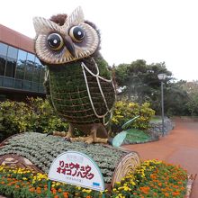 ふくろうの後ろにあるのが海洋文化館