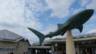 ごめんなさい有料のは入場してません