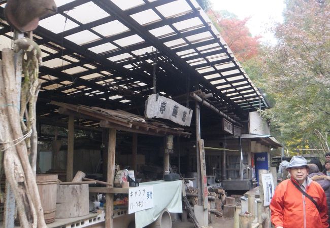 中瀬キャンプ場 クチコミ アクセス 営業時間 養老渓谷 フォートラベル