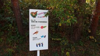 茨城県植物園の　付随施設
