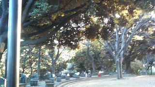 登ってみると結構高く、公園内を気持ちよく見下ろせます