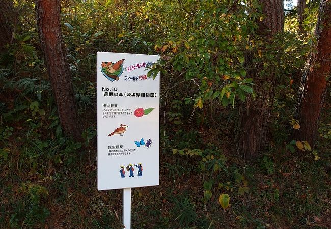 泊まれる植物園”「茨城県植物園」の愛称「林音」に 那珂｜NHK