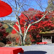 二ノ瀬に紅葉の穴場スポット～限定公開の庭園でゆったり過ごす日