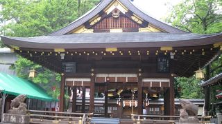 イノシシいっぱいの神社