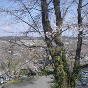 桜の名所　城山公園を訪れてみました