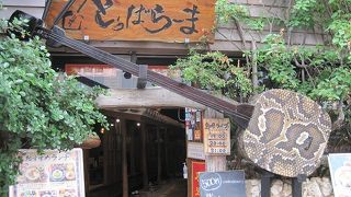 観光客ウケしそうな外観