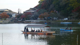 川下りや貸しボート、屋形船が楽しめます！