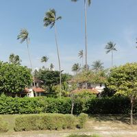 お部屋からの眺め