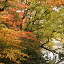 神社内の紅葉です。