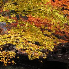 ２０１４年１１月１５日