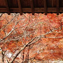 ２０１４年１１月１５日