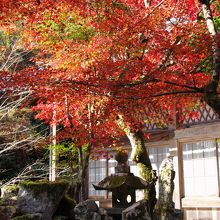 ２０１４年１１月１５日