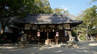 ちょっと意表を突くような銀杏の大木