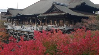 素晴らしい木造建築と紅葉のコラボ！