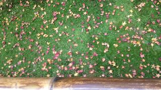 大徳寺さんの塔頭で一番おすすめの場所!!