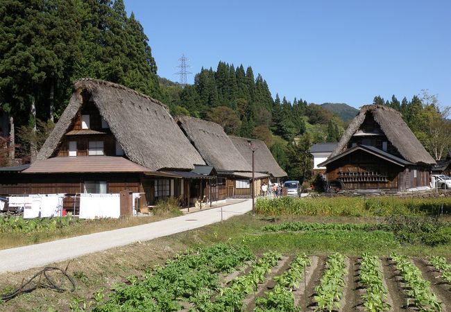 畑も風景のうち