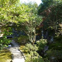 回遊式庭園になっています
