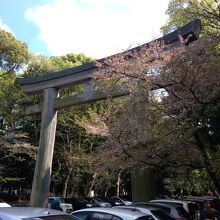 とても大きな鳥居です