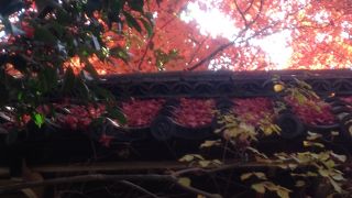 落ち着いた趣のあるお寺