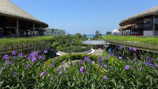 言うほど大きくはない