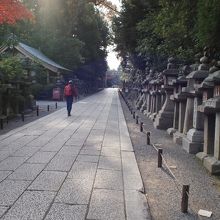 ずらりと並ぶ石灯籠