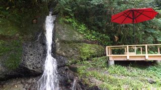 福井・石川旅行?　鶴仙峡（かくせんきょう）を散策