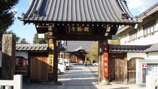 本堂の葵紋、立派な山門、広い境内にはびっくりで～す。