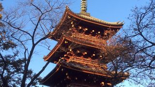 夕日に染まった五重塔がとてもきれいでした。