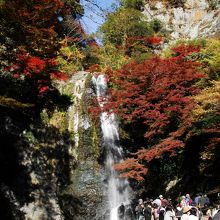 紅葉シーズンの箕面の滝（箕面大滝） は平日でも大混雑