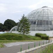 広大な空間を持つ室内温水プール