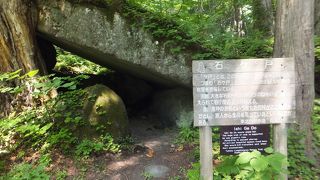 こんなところに？