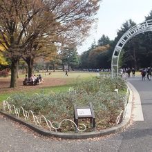 代々木公園 