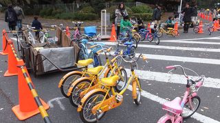 紅葉進み、美しい季節に。イベントもやってました。