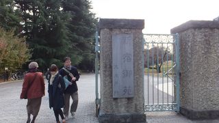 外国人にも大人気のスポット。綺麗です。