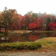 紅葉がきれいな公園
