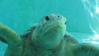 何度きても楽しい！