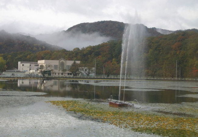 鶴ケ池公園