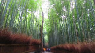 気持ちが落ち着く感じ♪