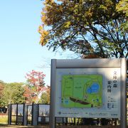 紅葉の旧三井文庫の公園