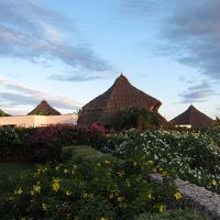 花々が咲き誇っています