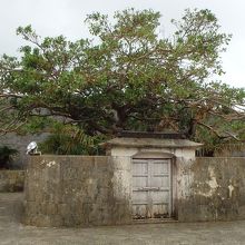 雨の中の森御嶽