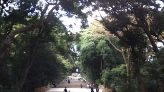 豊かな森の中を歩くのも楽しい