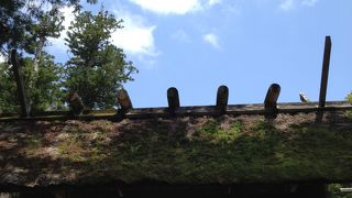 言わずと知れたパワースポット