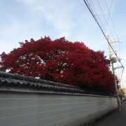 宝鏡寺の近くでした。