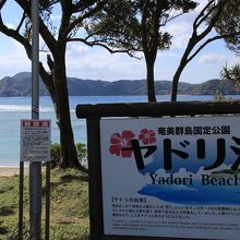 大島海峡側なので波が静か