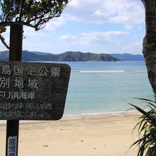 奄美群島国定公園なのできれいです