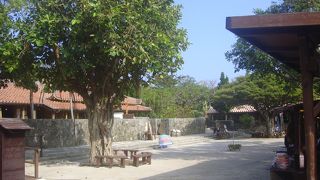 ゆっくり観光すると時間が足りません。