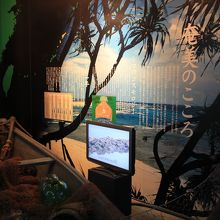 奄美の郷展示コーナー入口部分